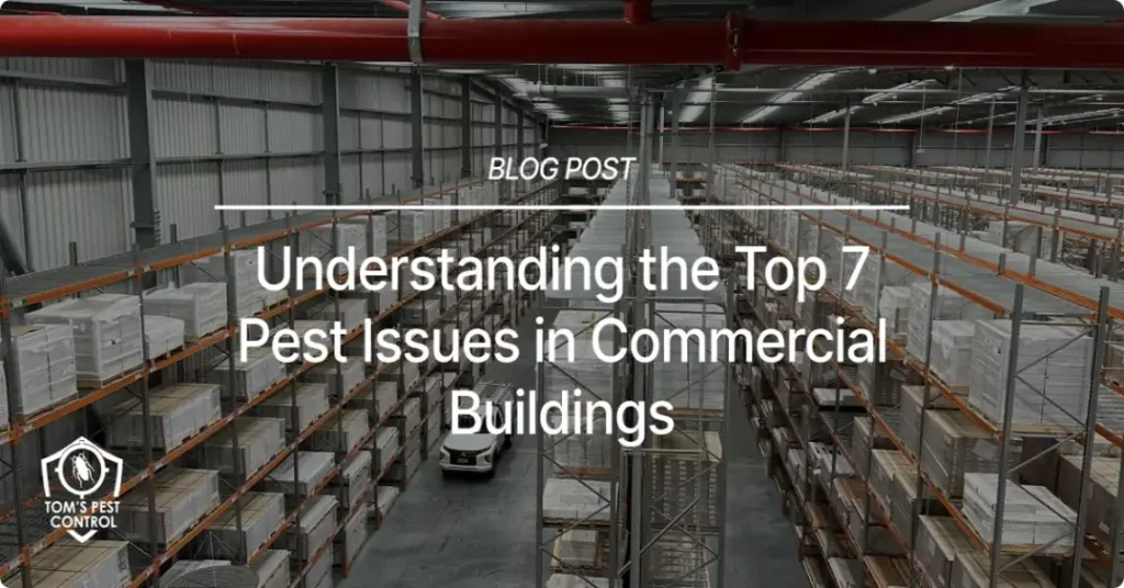 Pest Issues in Commercial Buildings