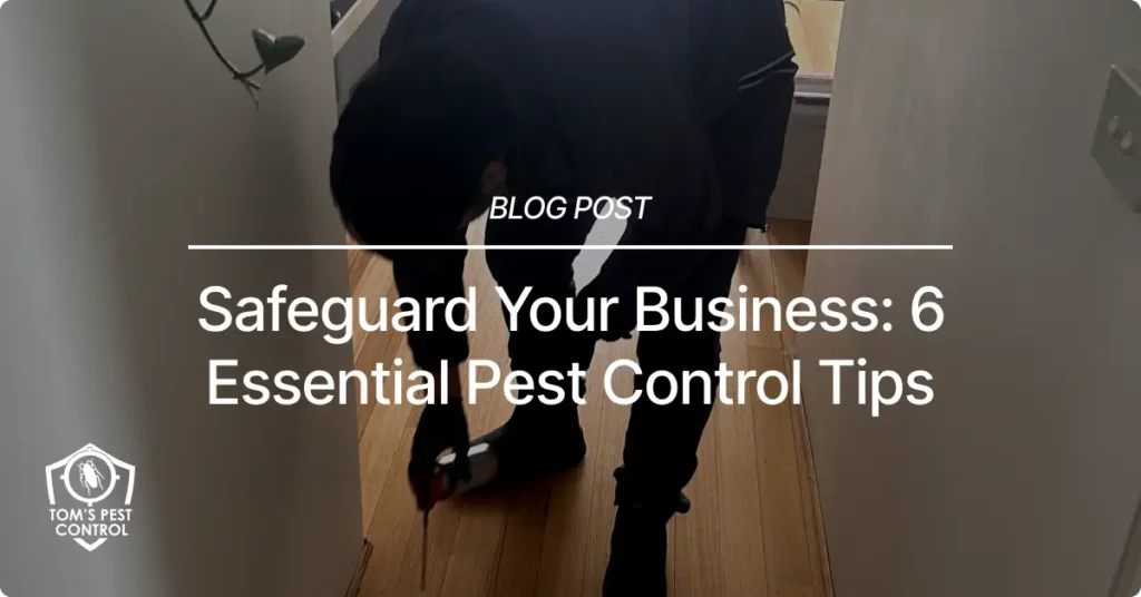 Safeguard Your Business Essential Pest Control Tips