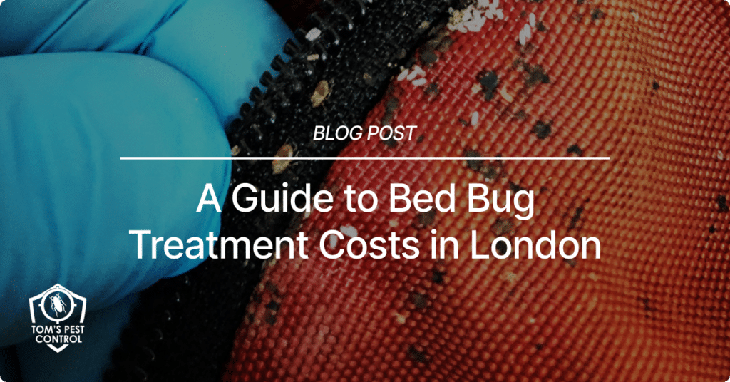 A Guide to Bed Bug Treatment Costs in London