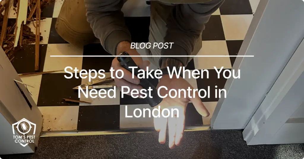 pest control company london